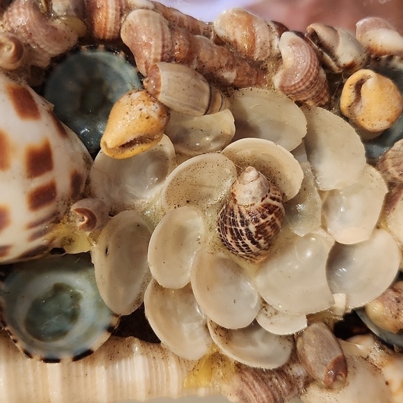 1970s handmade seashell oval mirror coastal beach - Picture 6 of 14